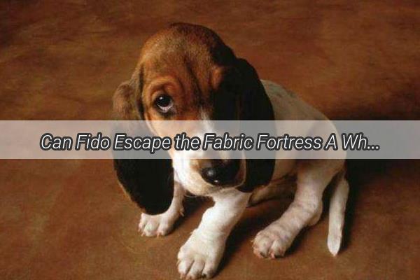 Can Fido Escape the Fabric Fortress A WhiskersandWag Adventure